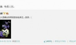 上局说最新爆料是真的吗,真相揭晓，是真是假？